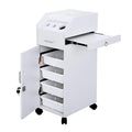 Winado Hair Salon Storage Cart by Winado