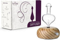 ArOmis Premium Glass Essential Oils Nebulizer by ArOmis