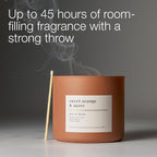 Bath & Body Works 3-Wick Candle, Sweet Orange & Agave Citrus Candle, Strong - Image 5