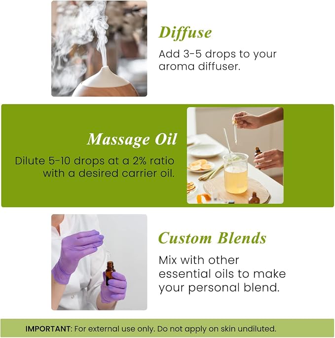 Handcraft Blends Rosemary Essential Oil – 0.33 Fl Oz – 100% Pure and Natural – - Image 3