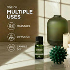 Gya Labs USDA Certified Organic Ginger Essential Oil - Image 6