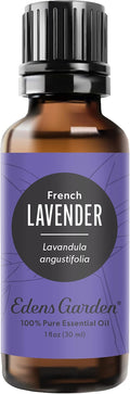Edens Garden Lavender- French Essential Oil- 100% Pure Premium Grade, by EdensGarden