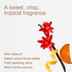 Bath & Body Works Cactus Blossom 3-Wick Candle - Image 3