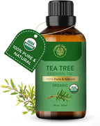 Tea Tree Essential Oil | USDA Certified Organic Tea Tree Oil | - Image 2