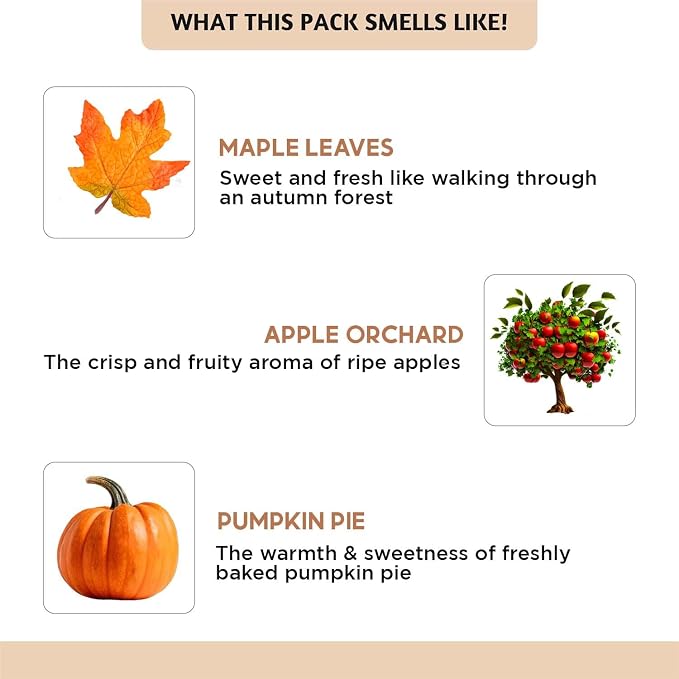Folkulture Autumn Essential Oils Set | 6 Cozy Fragrance Oils - Image 3