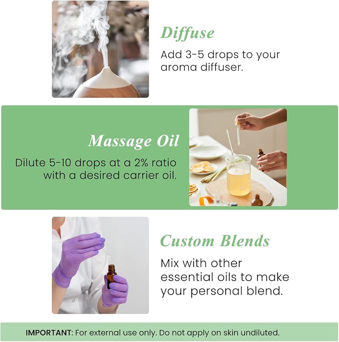 Handcraft Blends Basil Essential Oil – 0.33 Fl Oz – Pack of 2 – 100% Pure and - Image 4
