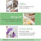 Handcraft Blends Basil Essential Oil – 0.33 Fl Oz – Pack of 2 – 100% Pure and - Image 4