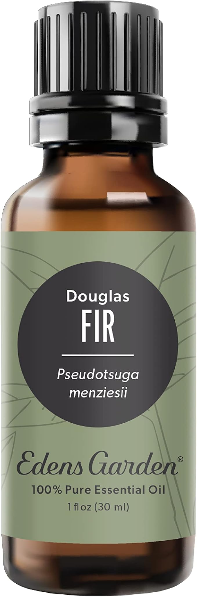 Edens Garden Fir- Douglas Essential Oil- 100% Pure Premium Grade, Therapeutic by EdensGarden