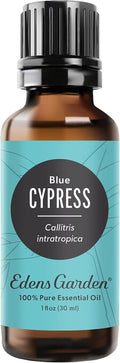 Edens Garden Cypress- Blue Essential Oil- 100% Pure Premium Grade, Therapeutic by EdensGarden