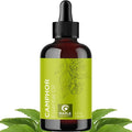 Pure Undiluted Camphor Essential Oil by MapleHolistics