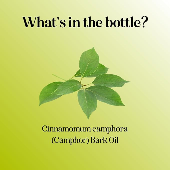 Pure Undiluted Camphor Essential Oil - Image 6