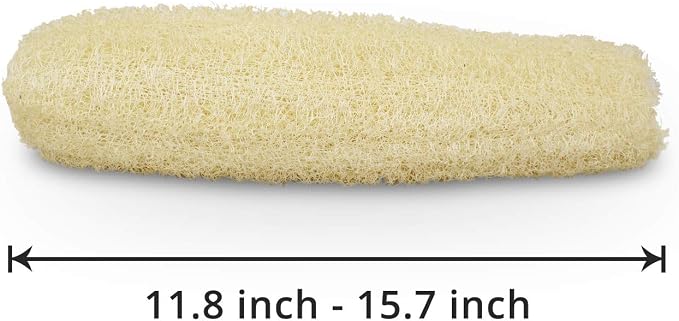 Natural Organic Loofah Sponges Large Exfoliating Shower Bath Loofah Luffa Loofa - Image 2