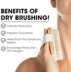 OPAZ 2-Pack Dry Body Brush – Natural Boar Bristles, Ergonomic Cotton Strap – - Image 3