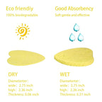 100-Count Compressed Facial Sponges - Image 4