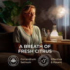 100% Pure Cilantro Essential Oil - Image 3