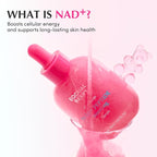 EQQUALBERRY NAD+ Peptide Boosting Serum – Niacinamide 2% + 14 Peptides + Vegan - Image 5