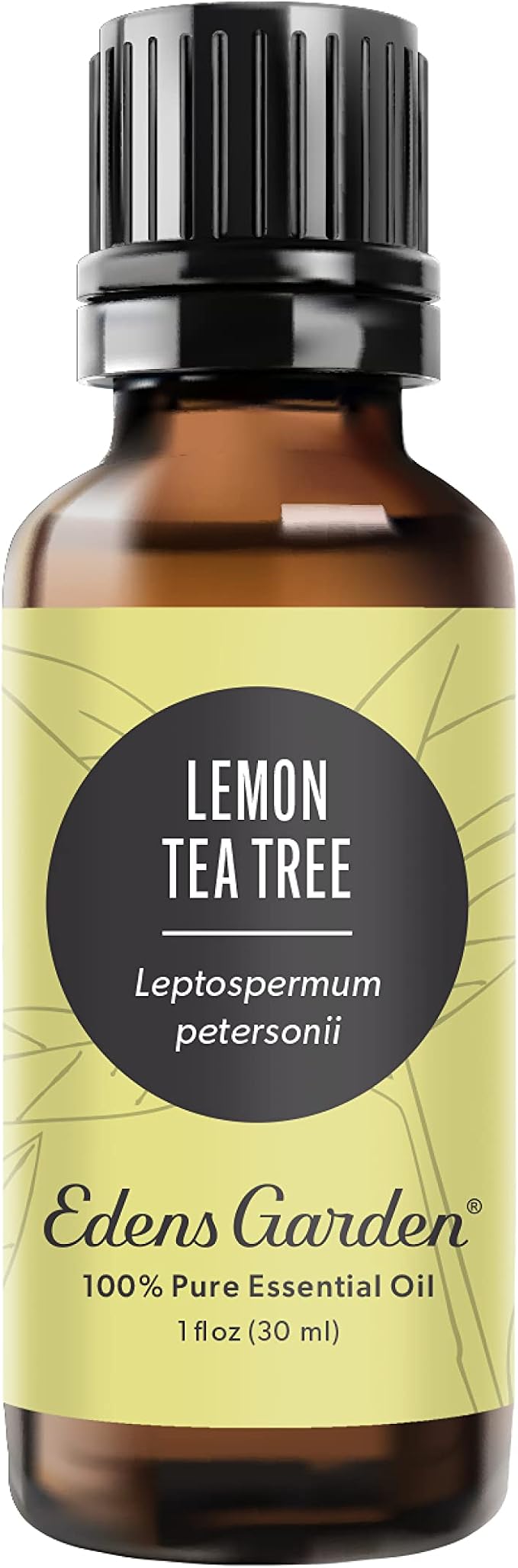 Edens Garden Lemon Tea Tree Essential Oil- 100% Pure Premium Grade, Therapeutic by EdensGarden