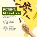 100% Pure Clove Essential Oil - Image 3