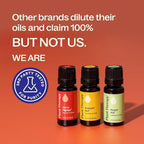 Plant Therapy Wellness Essential Oil Set, Pure Essential Oil Blends: Germ - Image 5