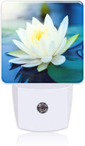 Night Light Plug into Wall White Lotus Flowers Night Light by Uiaoiais