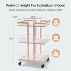 Esthetician Cart with Wheels Utility Salon Rolling Trolley, Mobile Storage - Image 9