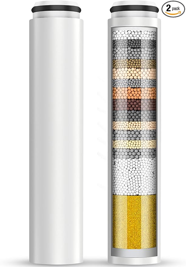Cobbe 2 Pack Replacement Filters by Cobbe