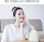 Panasonic Nanocare EH-SA3B-N Steamer Compact Gold - Image 2