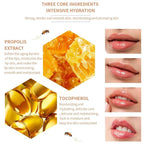2PCS Bee Lip Balm Honey Pot, Lip Mask Propolis Moisturizing Lip Balm - Image 3