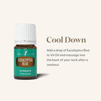 Young Living Eucalyptus Blue Essential Oil | 5 ml | Premium, Invigorating - Image 3