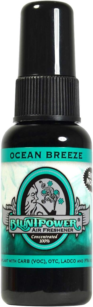 Bluntpower Air Freshener Blunt Power Spray by BLUNTPOWER