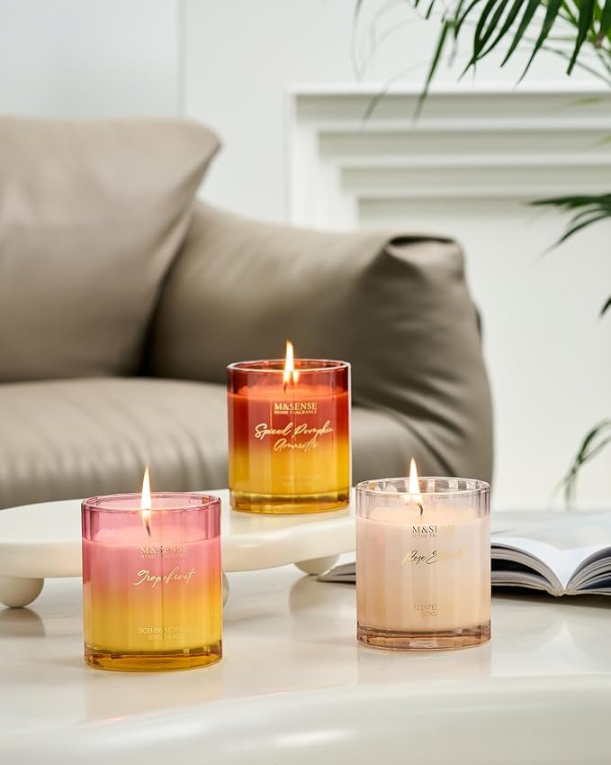 M&SENSE Spiced Pumpkin Fall Scented Candles Natural Soy Wax Non Toxic, 10.6oz - Image 7