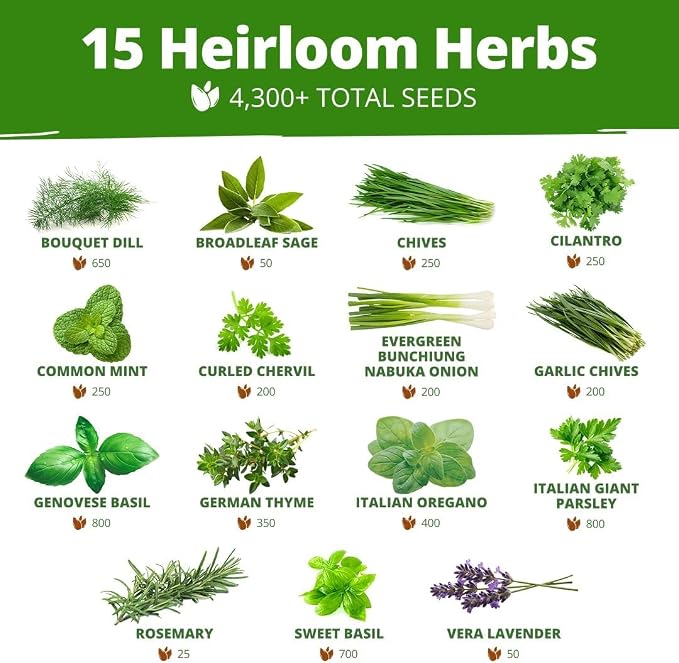 HOME GROWN 70 Variety Vegetable & Herb Seeds 32, 000+ USA Non-GMO Heirloom - Image 3