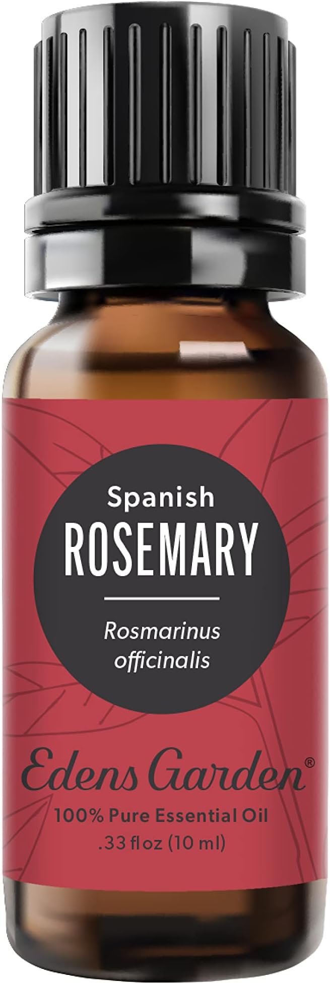 Edens Garden Rosemary- Spanish Essential Oil- 100% Pure Premium Grade, by EdensGarden