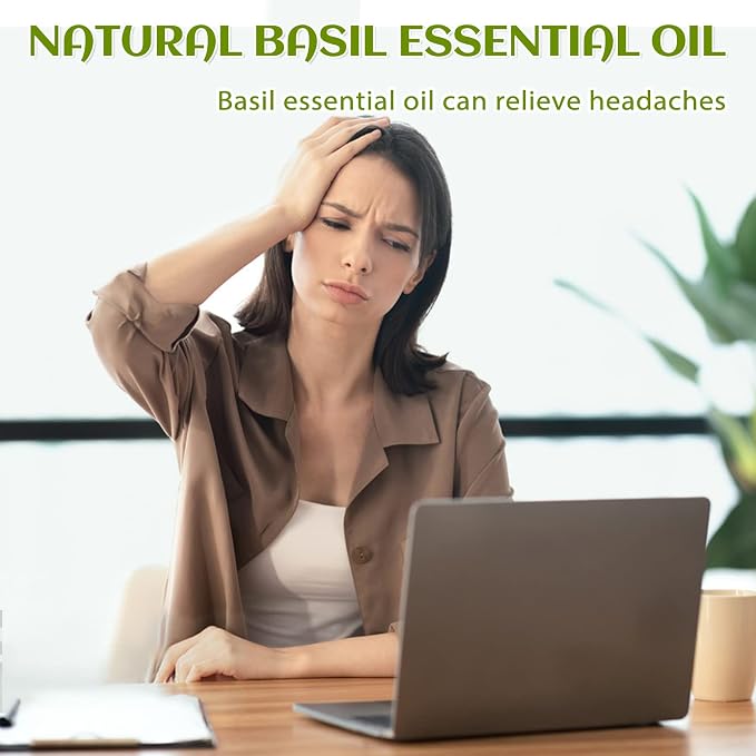 EVOKE OCCU Basil Essential Oil for Skin Massage Diffuser and Candle Making- 4 - Image 2