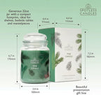 Pine Candle 22oz - Image 3
