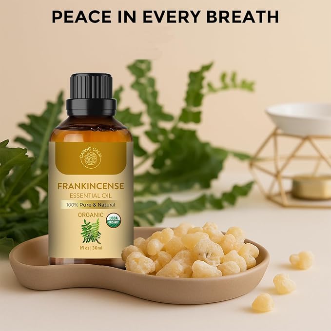 Frankincense Essential Oil | USDA Certified Organic Frankincense Oil | - Image 3