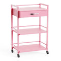 Salon Trolley Cart for Beauty SPA, Wooden Rolling Storage Station, Mobile by OmySalon