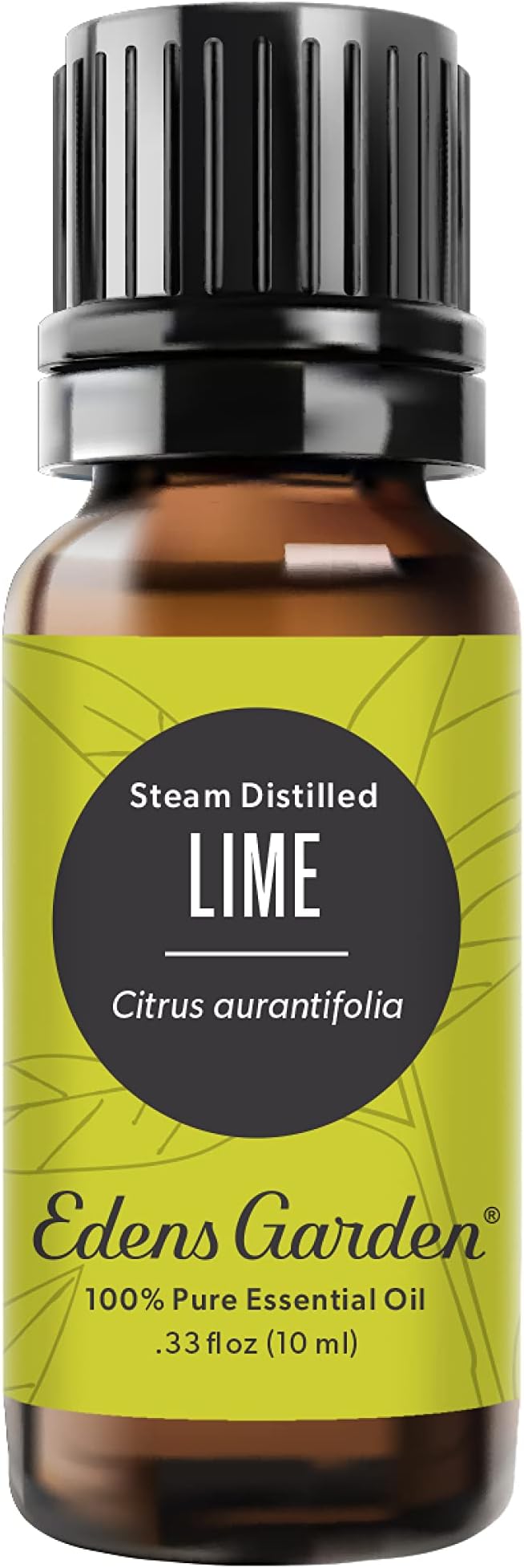 Edens Garden Lime- Steam Distilled Essential Oil- 100% Pure Premium Grade by EdensGarden