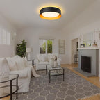 Bargeni Flush Mount Ceiling Light, 12.5 inch LED Ceiling Light - Image 8