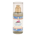 Bath and Body Works Fine Fragrance Mist Travel Size Mini Purse Spray 2.5 Ounce by BathBodyWorks
