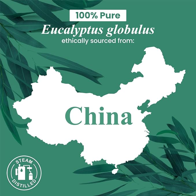 Handcraft Blends Eucalyptus Essential Oil – Huge 4 Fl Oz – 100% Pure and - Image 8