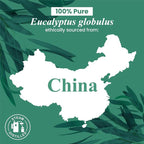 Handcraft Blends Eucalyptus Essential Oil – Huge 4 Fl Oz – 100% Pure and - Image 8