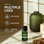 Gya Labs USDA Organic Eucalyptus Essential Oil - Image 6