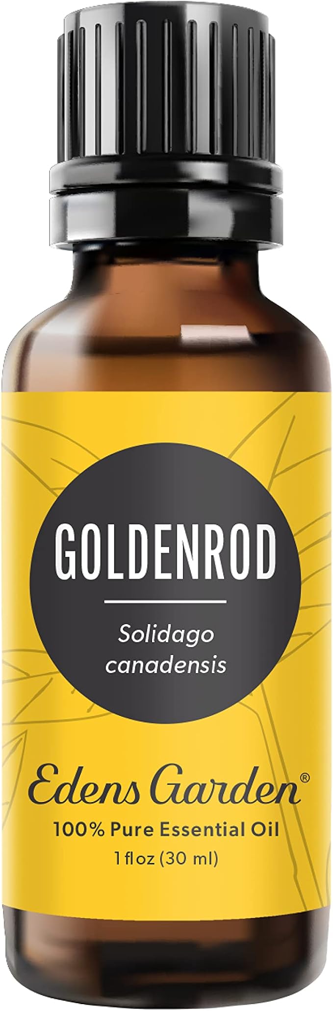 Edens Garden Goldenrod Essential Oil- 100% Pure Premium Grade, Therapeutic by EdensGarden