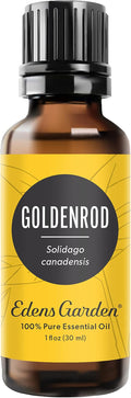 Edens Garden Goldenrod Essential Oil- 100% Pure Premium Grade, Therapeutic by EdensGarden