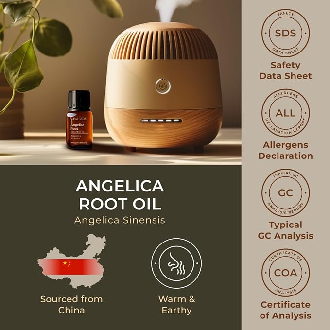 100% Pure Angelica Root Essential Oil - Image 6