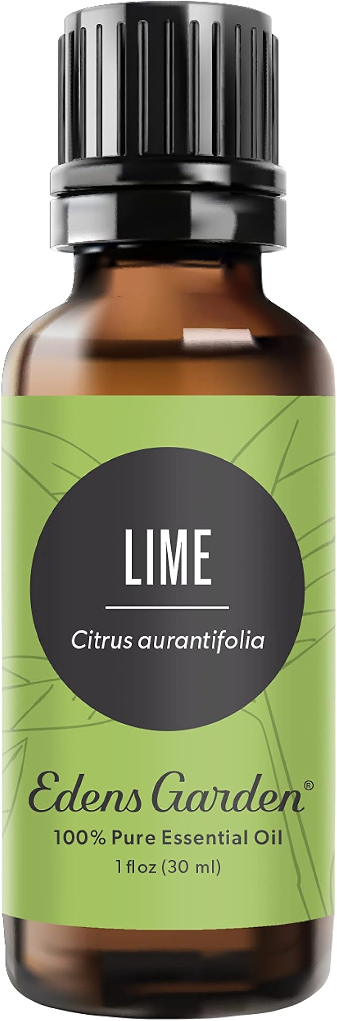 Edens Garden Lime Essential Oil- 100% Pure Premium Grade, Therapeutic, by EdensGarden