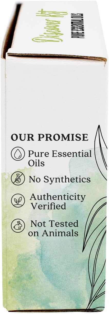 Aura Cacia Discover Essential Oils Kit, Eucalyptus, Peppermint & Tea Tree Oils - Image 12