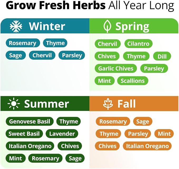 HOME GROWN Herb Seeds for Planting 15-Pack Massive Seed Count 4, 300+ Seeds - Image 5