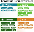 HOME GROWN Herb Seeds for Planting 15-Pack Massive Seed Count 4, 300+ Seeds - Image 5